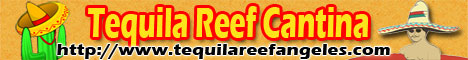 Tequila Reef Cantina Angeles City Bars